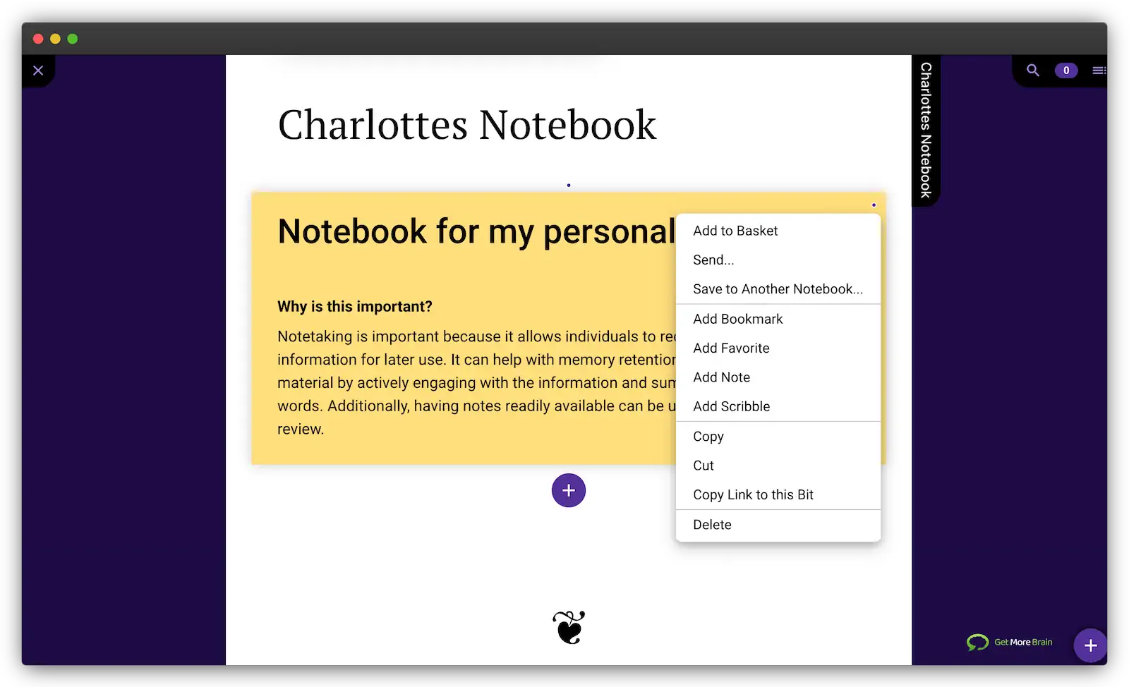 The image shows the Workspace of Get More Brain with your personal Notebooks. You can edit all your own bits, add bookmarks and annotations or send it to your Contacts.