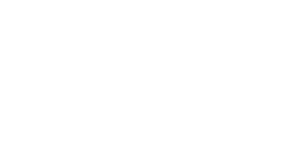 Electrosuisse Logo