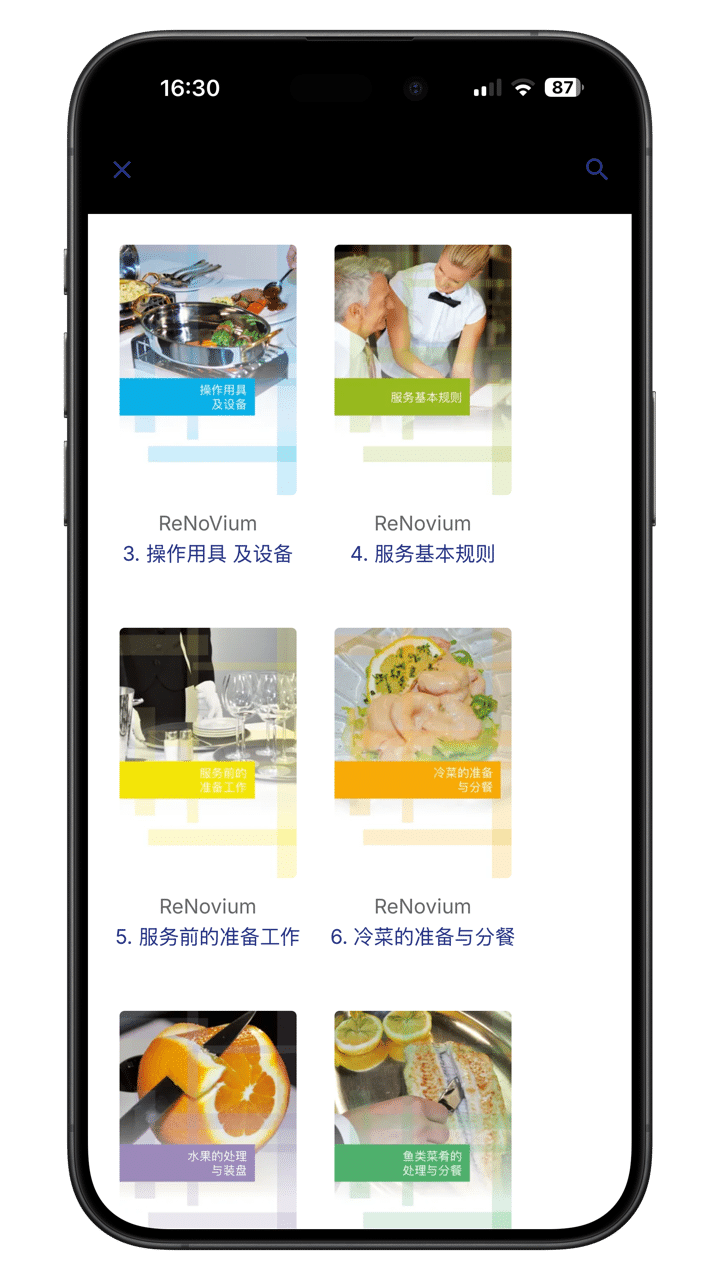 renovium global web
