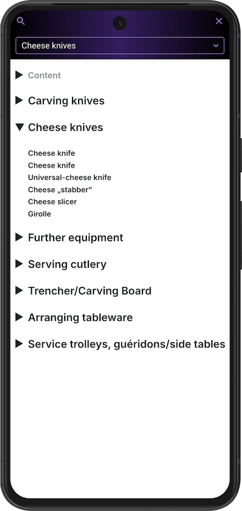 GMB Look Smartphone Reader GMB