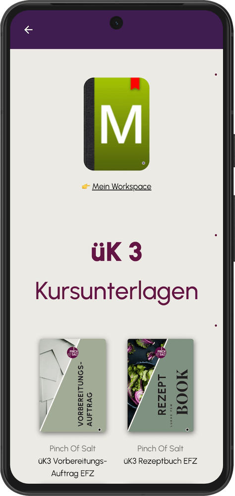 GMB Look Smartphone Academy Pinch of Salt