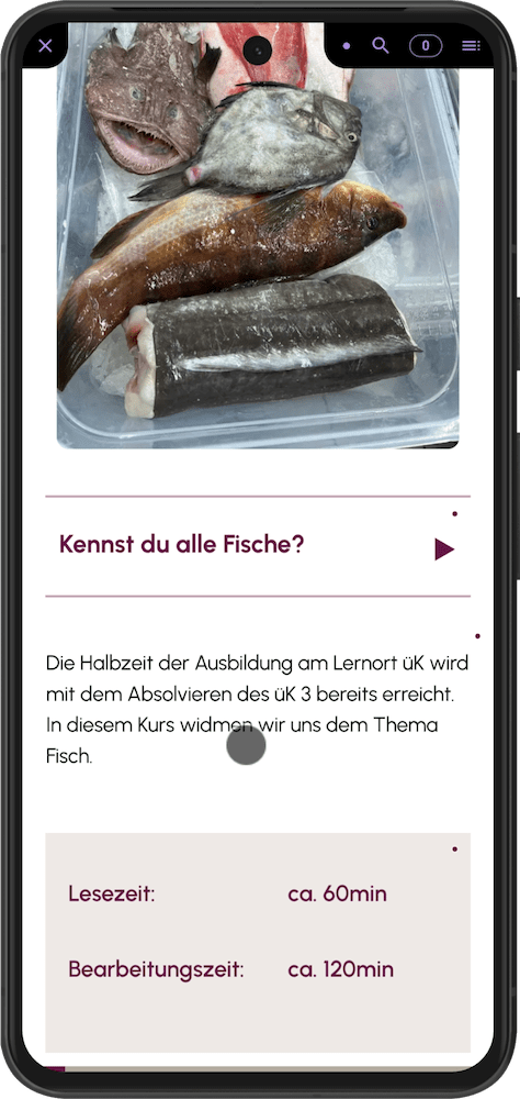 GMB Look Smartphone Reader Pinch of Salt