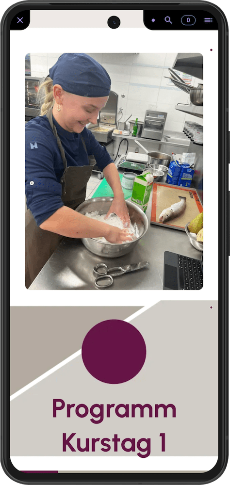 GMB Look Smartphone Reader Pinch of Salt